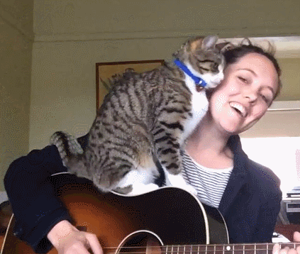 猫とギター　理想編