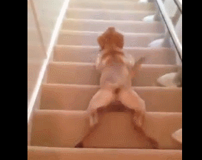 階段の降り方